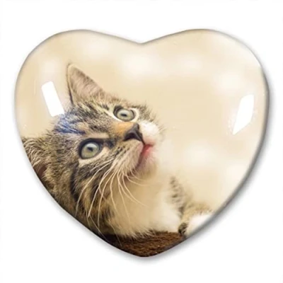 Image of Cat Fridge Magnet Refrigerator Stickers Collection Decorative Travel Souvenir Heart Shaped Crystal Glass