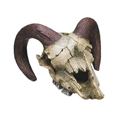 Image of Nobby Ram Skull Aquarium Ornaments, 17.5 x 16 9.5 cm