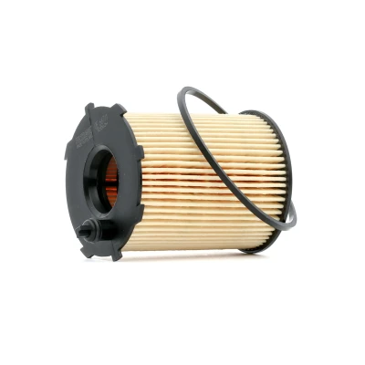 Image of 1651073J00, 1651073J00000, 1651073J01, 1651073J01000, 1651073J02 Oil Filter FILTRON OE 667/1 Insert FORD: FIESTA 6, Focus 3, 2