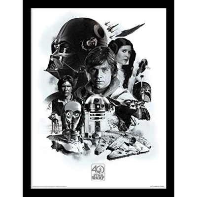 Image of Star Wars (Endor 30 x 40cm Memorabilia