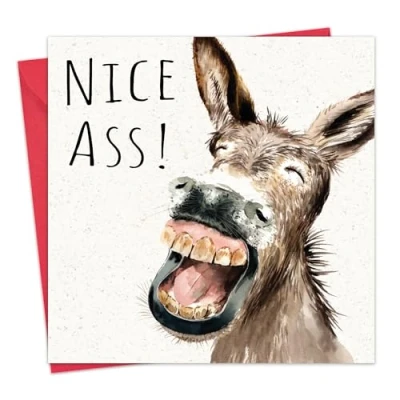 Image of Twizler Funny Valentine&#039;s Day Card with Donkey Valentine for Husband Wife or Boyfriend Girlfriend Him Her Fiancé Fiancée Partner