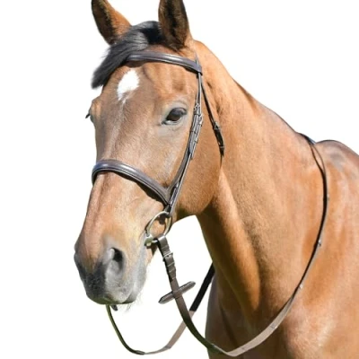 Image of Kincade Classic Plain Raised Cavesson Bridle with Reins, Brown, Pony