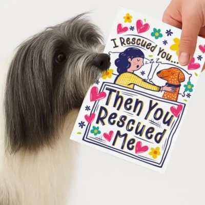 Image of Scoff Paper Edible card for Dogs RESCUE, Happy Birthday, Anniversairy, Chicken Flavoured dogs. dog treat or snack made from potato and natural flavourings.