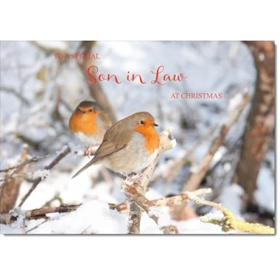 Image of doodlecards Son in Law Christmas Card Two Robins Tree Medium Size for with Plain Envelope