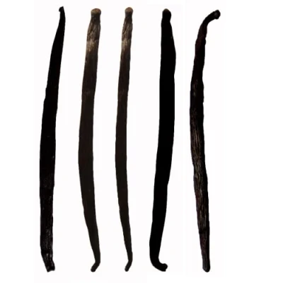 Image of Royal Brand Vanilla Bourbon Madagascar Pods 15 20 cm Long, 5 pods/Beans, Grade A