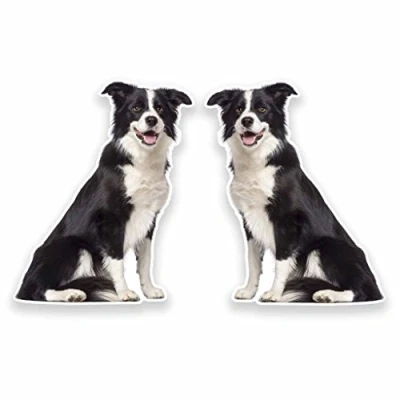 Image of 2 x 30cm/300mm Border Collie Vinyl SELF Adhesive Sticker Decal Laptop Car Travel Luggage Label Tag #9637