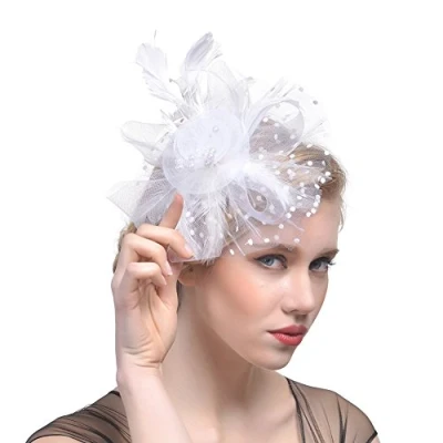 Image of DRESHOW Fascinators Hat Flower Mesh Ribbons Feathers on a Headband and Forked Clip Cocktail Tea Party Headwear for Girls Women