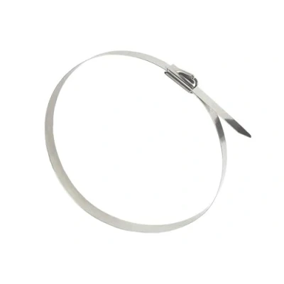 Image of Good Connections KAB E25X79 Stainless Steel Cable Ties 250 mm x 7.9 Set of 20 UV Resistant, Weather Resistant for Outdoor Use, 60 C to +550 Tensile Strength: up 100 kg