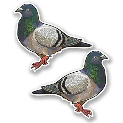Image of 2 x 25cm/250mm Pigeon Vinyl Sticker Decal Laptop Travel Luggage Car iPad Sign Fun #5556