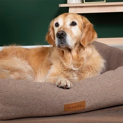 Image of Scruffs Seattle Box Bed (M)