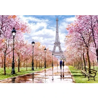 Image of Castorland CSC104369 Jigsaw Puzzle, Various
