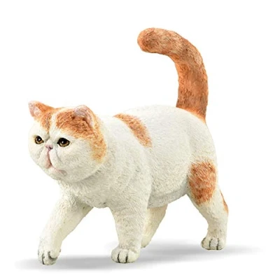 Image of CollectA Exotic Shorthair