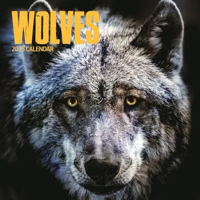 Image of Wolves 2025 Calendar