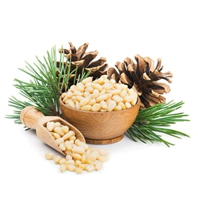 Image of Pine Nuts 500g Nut Kernels Kernals Fresh Raw Whole Keto &amp; Paleo Primal Vegan PURIMA Bulk Packaging