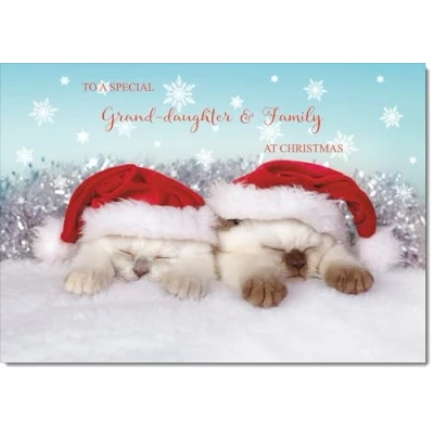 Image of doodlecards Granddaughter &amp; Family Christmas Card Medium Size with Plain Envelope