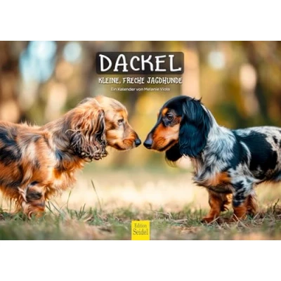 Image of Edition Seidel Premium Calendar Dachshund Small Cheeky Hunting Dogs 2025 Format DIN A3 Wall Dog Puppy Breed Pet Melanie Viola