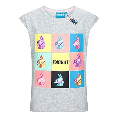 Image of Fortnite Short Sleeved Grey Cotton T Shirt Crew Neck Llama Drama Gaming Design Ages 10 16 (UK, Age, 13 Years, 14 Regular, Grey)