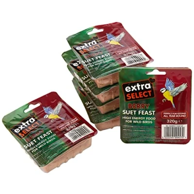 Image of Extra Select Wild Bird High Energy Suet Block Berry, 320 g (Pack of 6)