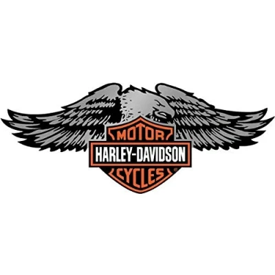 Image of Retro Reflective Stickers for Harley Davidson Helmet Eagle