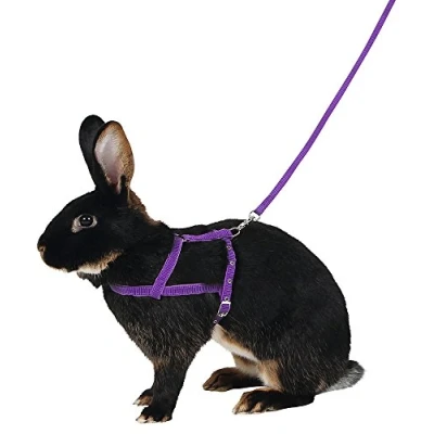 Image of Kerbl Shoulder Harness Agility with Leash, Medium, 2 m