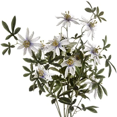 Image of The Recipe Passion Flower Spray