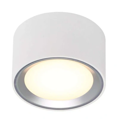 Image of Nordlux Fallon LED downlight, 3 level dim, white/steel