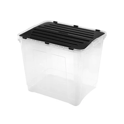 Image of Heidrun Dragon Box with Divided Lid