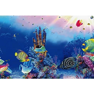 Image of Superfish Deco Poster F2 60cm x 49cm (Sea/Reef) Aquarium Background