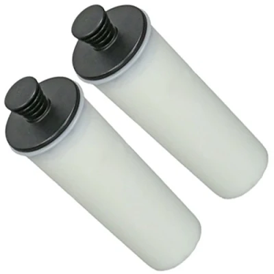 Image of Spares2go Descaler Filter Cartridge fits Karcher SC3 Steam Cleaner (Pack of 2)