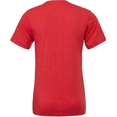 Image of Canvas Mens Triblend Crew Neck Plain Short Sleeve T Shirt (2XL) (Orange Triblend)