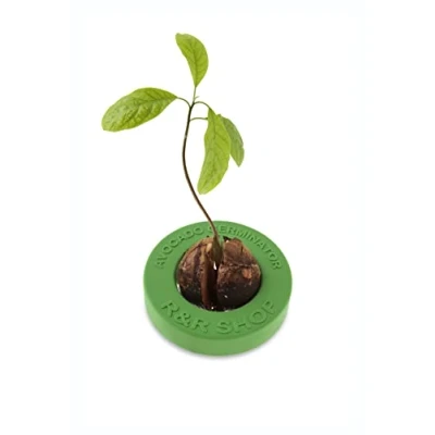 Image of R&amp;R SHOP Avocado Germinator Floating Pot for Germination, Seed Growth Kit, 100% Corn Plastic (Green)
