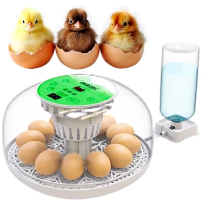 Image of Okkobi M12 Egg Incubator with Automatic Turning and Humidity Control 12/24 Eggs, 360 View, Easy to Use Clean Incubators for Hatching Made UK White &amp; Green