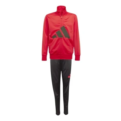 Image of adidas Unisex Kids ESSENTIALS BIG LOGO CLIMACOOL TRACKSUIT, pure ruby/black, 9 10 Years