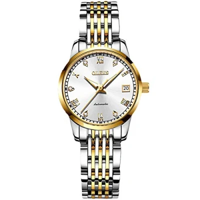 Image of RORIOS Women&#039;s Automatic Watch Self Wind Auto Mechanical with Stainless Steel Band Calendar Fashion Women Luminous Wristwatch for Ladies
