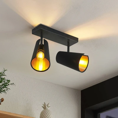 Image of Lindby Zylindro ceiling light, two bulb