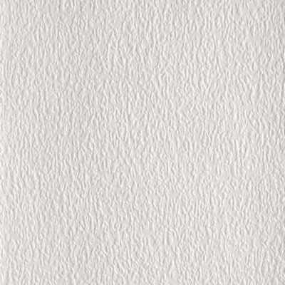 Image of RD181 Anaglypta White Textured Wallpaper