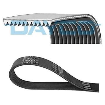 Image of 504022568, 504049426 V ribbed belt DAYCO 12PK1835HD 1835,0mm 12
