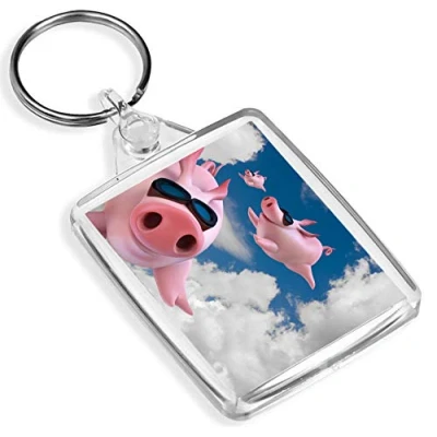 Image of Funny Flying Pigs Keyring Joke Secret Santa Office #15799