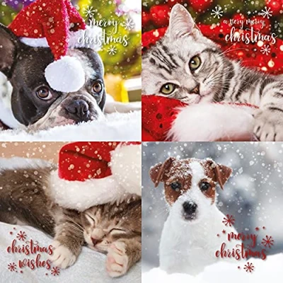 Image of Emotional Rescue Christmas Cards Multi Pack, 12 pack Cards, 4 Different Designs, of Card, Animal Card Multipack, AMZBRIGHT2