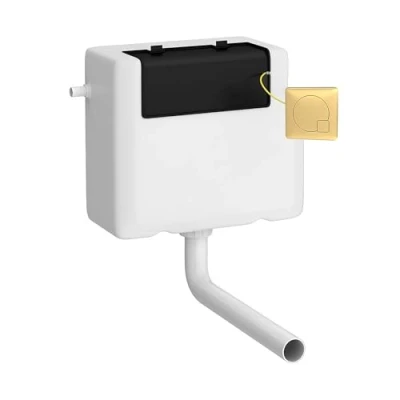 Image of Balterley Universal Water Saving Dual Flush Side Inlet &amp; Square Plate Brushed Brass/White