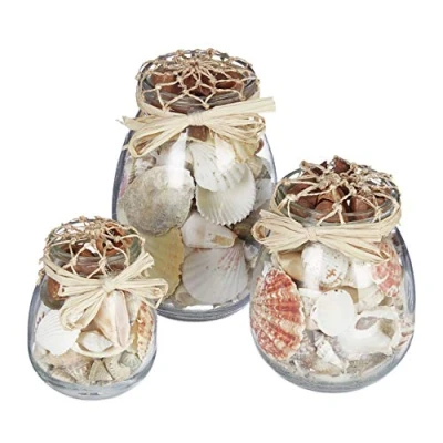 Image of Relaxdays Seashell Jar, Set of 3, Natural Shell Mix, Nautical Style, Glasses in Different Sizes, Bathroom Decoration