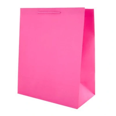 Image of Hallmark Large Multi Occasion Gift Bag Plain Hot Pink