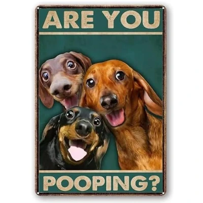 Image of asbwuo Retro Tin Sign Vintage Dachshund Are You Pooping Funny Signs,Bathroom Restroom Wall Toilet Decor 8x12inch