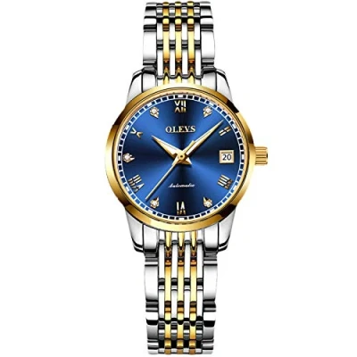 Image of RORIOS Women&#039;s Automatic Watch Self Wind Auto Mechanical with Stainless Steel Band Calendar Fashion Women Luminous Wristwatch for Ladies