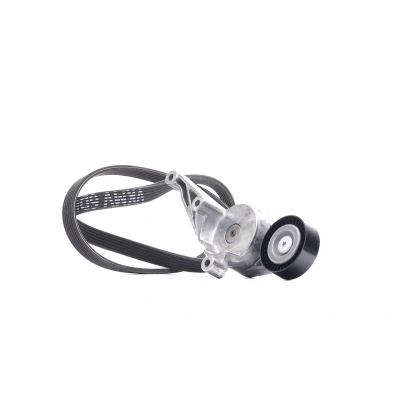 Image of 1455380, 6M216K254AA V ribbed belt set SKF VKMA 31091 VOLKSWAGEN: Transporter 5, Caddy 3, SEAT: Alhambra I