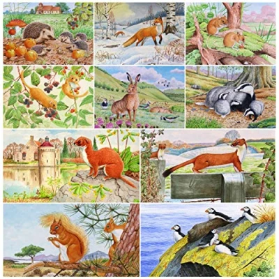Image of David Thelwell British wildlife greeting card multipack