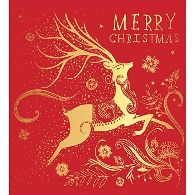 Image of Pack of 5 Festive Reindeer Charity Christmas Cards Supporting Multiple Charities 493805