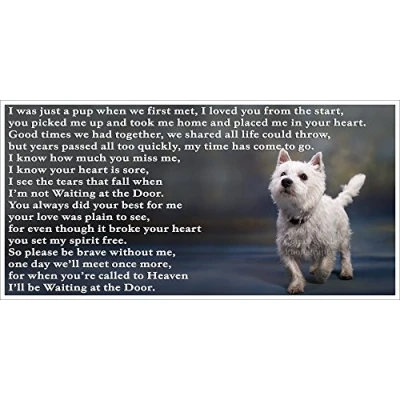 Image of West Highland White Terrier Westie bereavement pet dog loss sympathy memorial Flexible Fridge Magnet Waiting at the Door