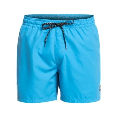 Image of Quiksilver Boys Everyday Volley 15 Swim Shorts, Blue Blithe, XL EU