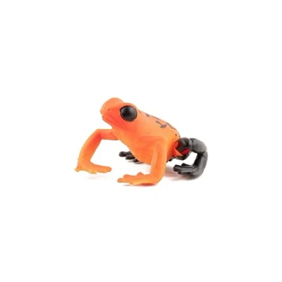 Image of Papo WILD ANIMAL KINGDOM Figurine, Print, 50193 Equatorial Red Frog, Multicolour